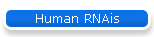 Human RNAis