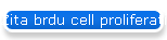 Zita brdu cell proliferation