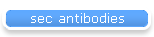 sec antibodies